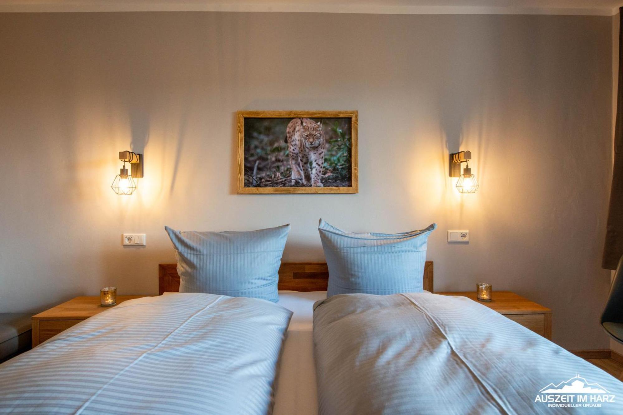 Auszeit-Im-Harz Haus 3 Wohnung 3 برونلاغ المظهر الخارجي الصورة