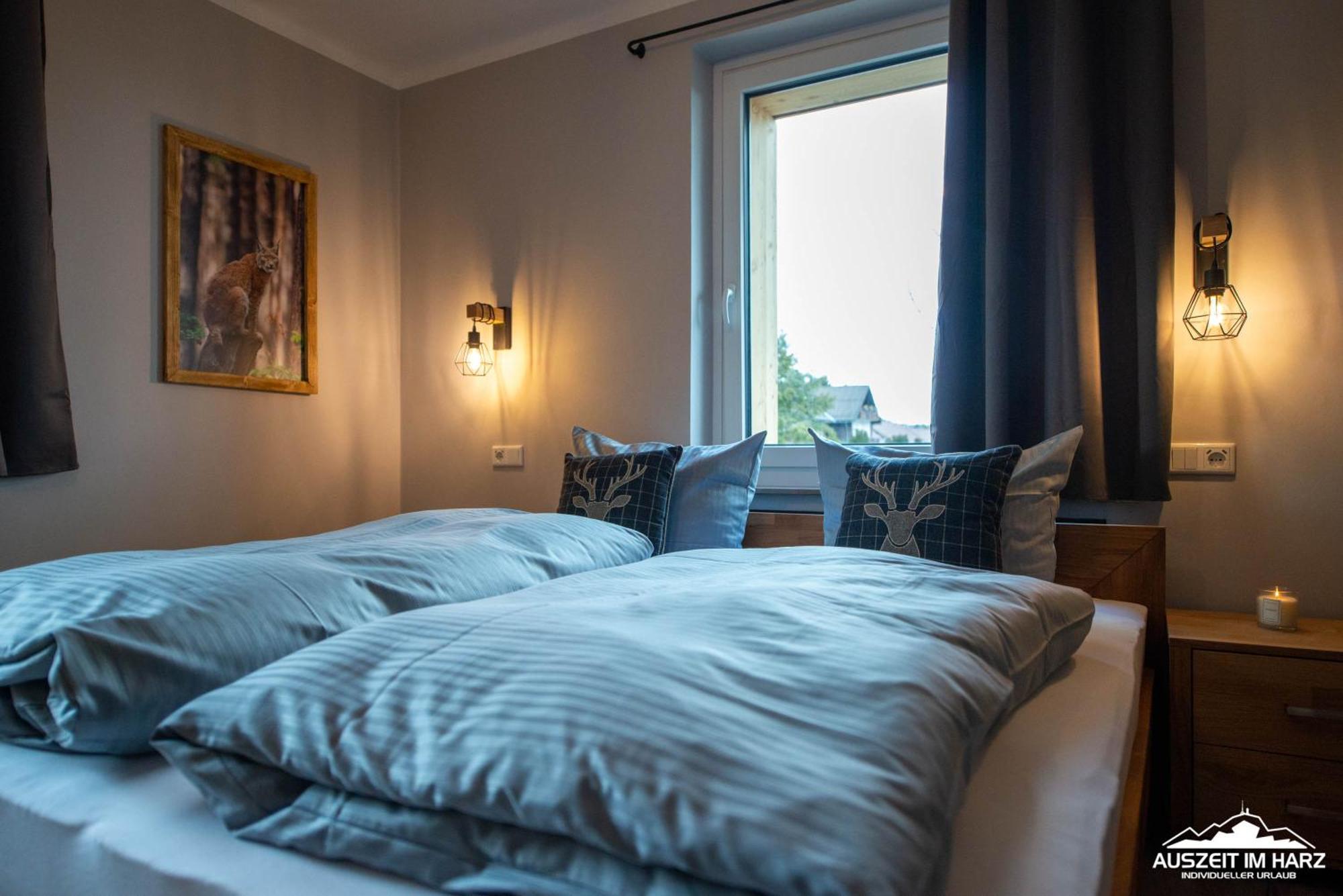 Auszeit-Im-Harz Haus 3 Wohnung 3 برونلاغ المظهر الخارجي الصورة