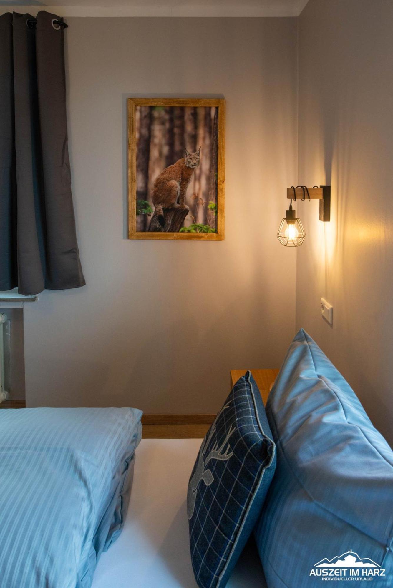 Auszeit-Im-Harz Haus 3 Wohnung 3 برونلاغ المظهر الخارجي الصورة
