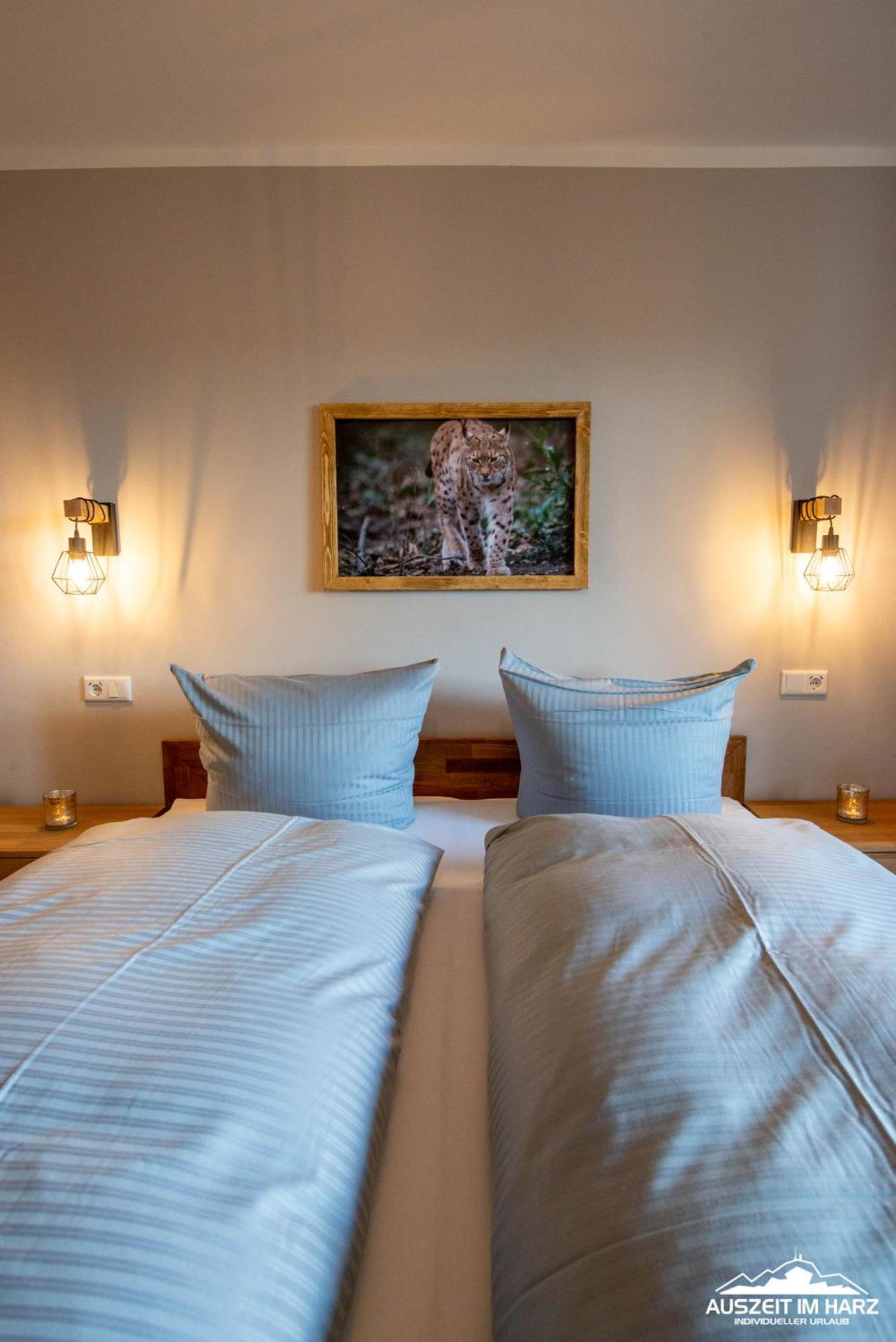 Auszeit-Im-Harz Haus 3 Wohnung 3 برونلاغ المظهر الخارجي الصورة