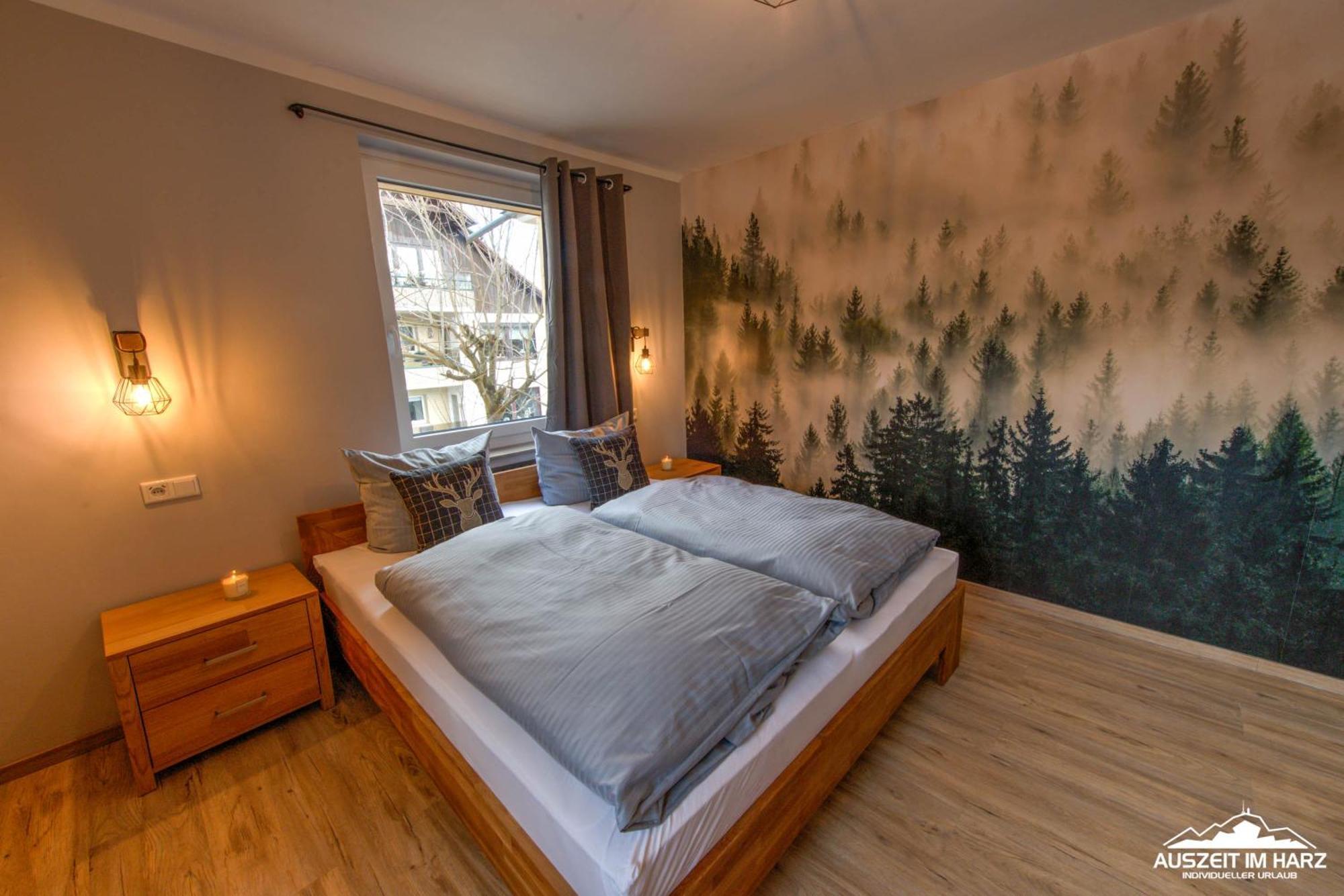 Auszeit-Im-Harz Haus 3 Wohnung 3 برونلاغ المظهر الخارجي الصورة