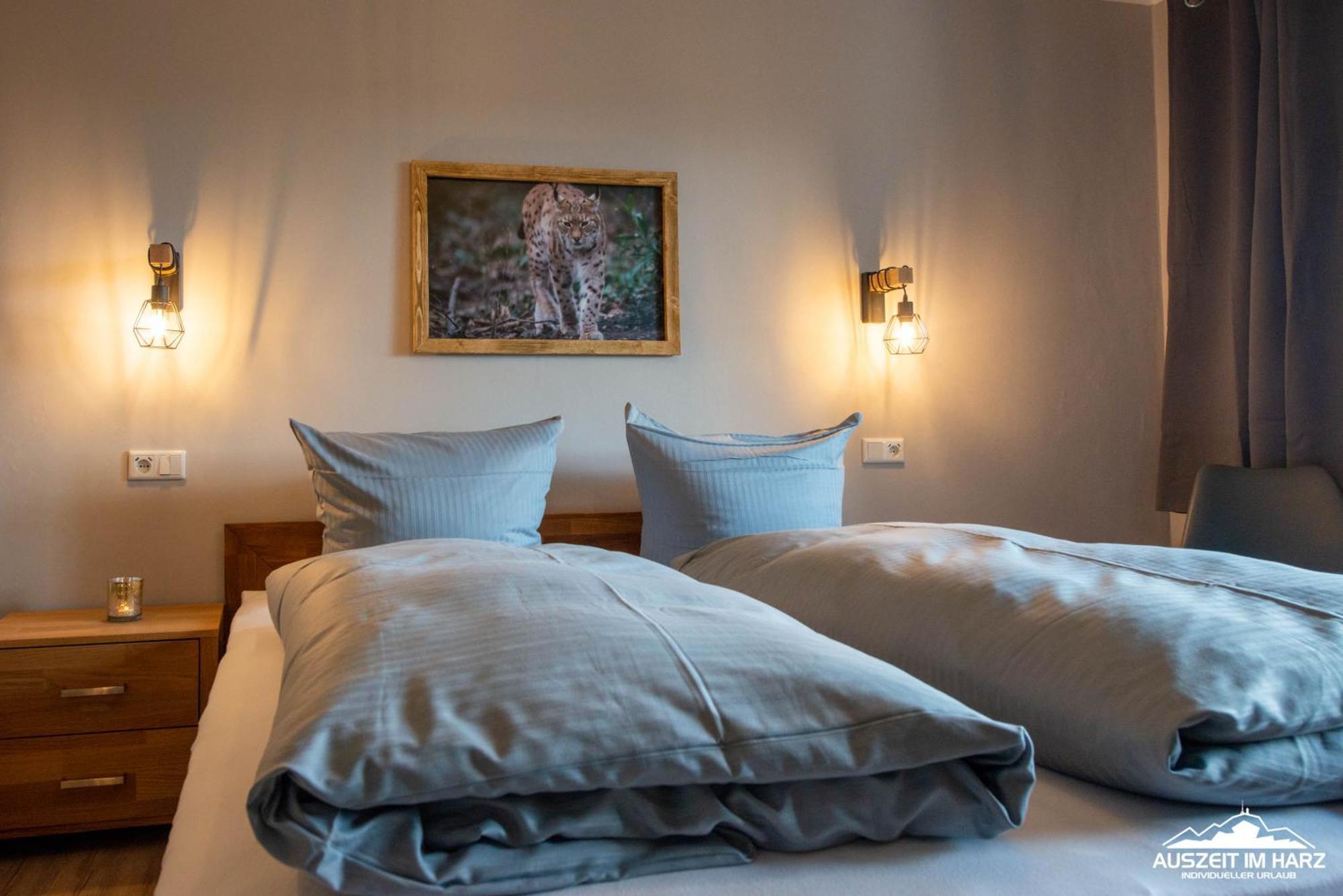 Auszeit-Im-Harz Haus 3 Wohnung 3 برونلاغ المظهر الخارجي الصورة