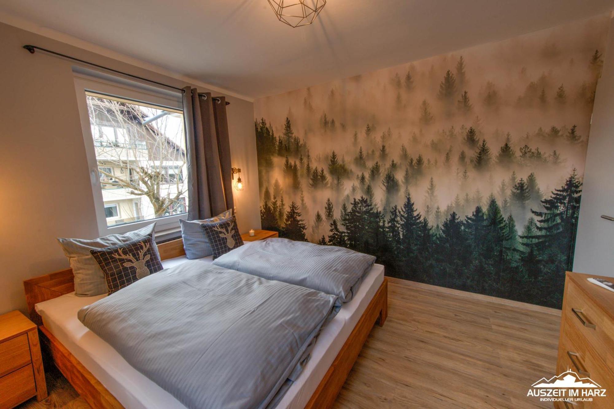 Auszeit-Im-Harz Haus 3 Wohnung 3 برونلاغ المظهر الخارجي الصورة